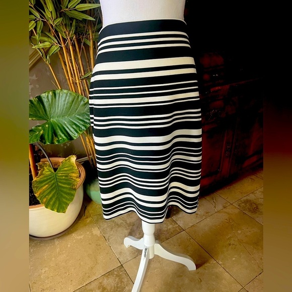Ann Taylor Factory skirt 8. Excellent condition hidden back zip elastic waist - Picture 2 of 8